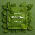 Menthe Croquante